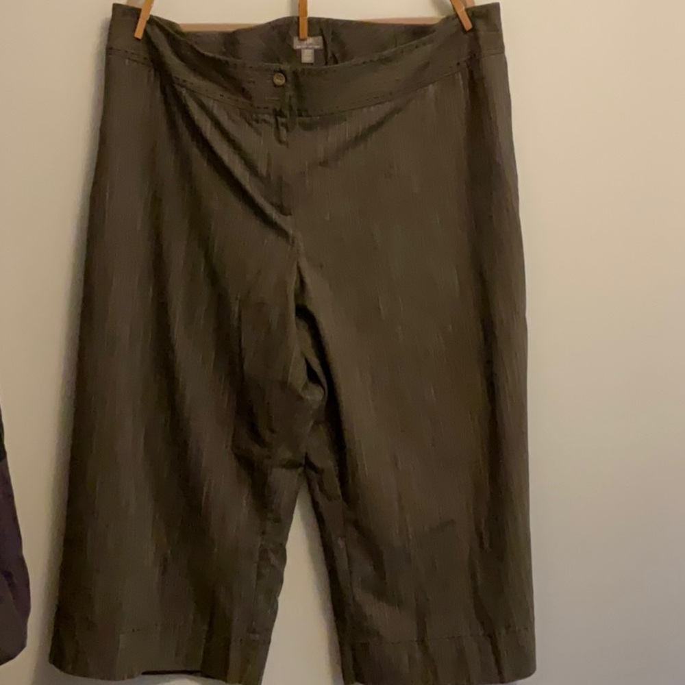 J. JILL Women’s Brown Pinstripe Capris Size Plus 24W